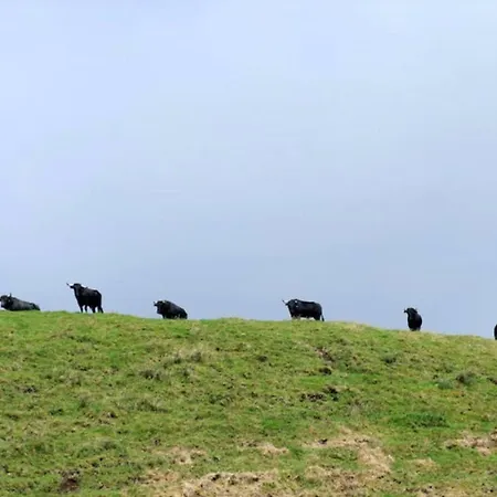 Venkovský dům Casadavinhagrande