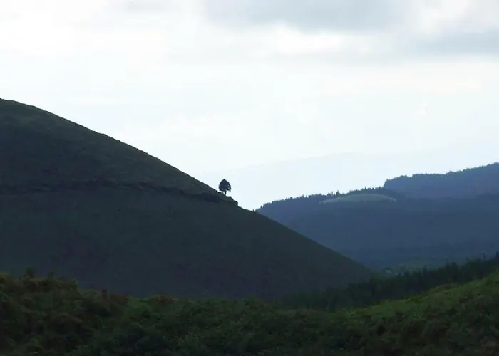 カントリーハウス Casadavinhagrande Biscoitos