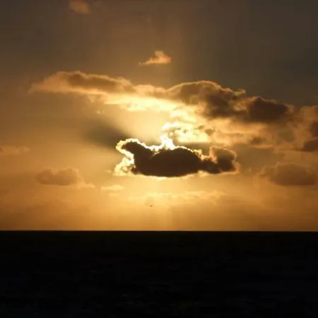 Casadavinhagrande 컨트리하우스 Biscoitos (Terceira)