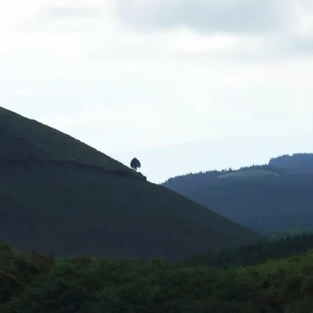 컨트리하우스 Casadavinhagrande Biscoitos (Terceira)
