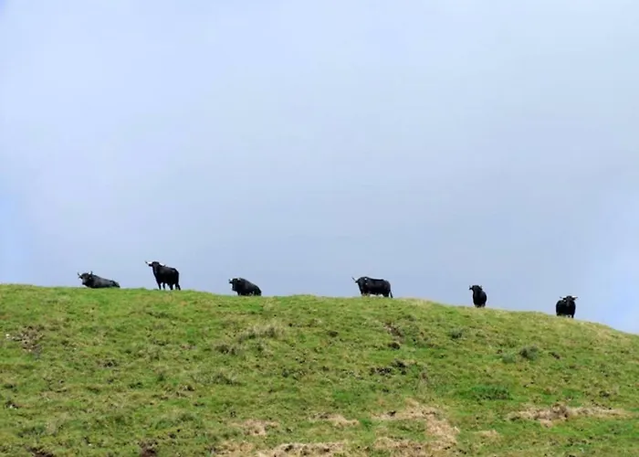 Gospodarstwo wiejskie Casadavinhagrande